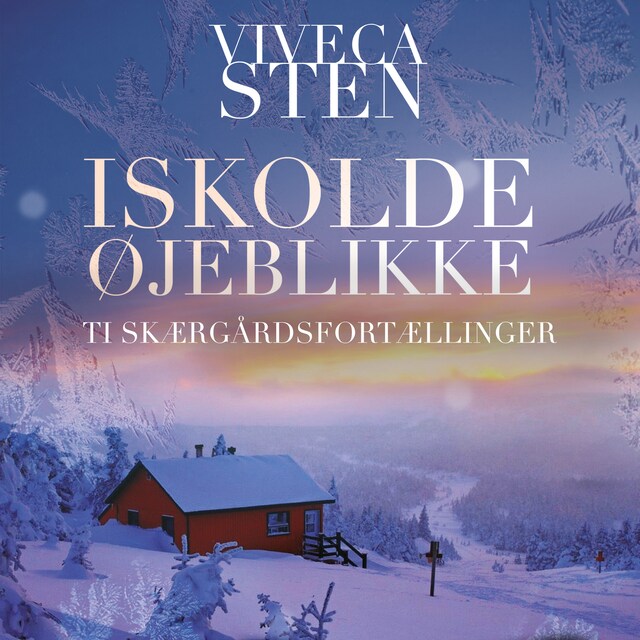 Book cover for Iskolde øjeblikke