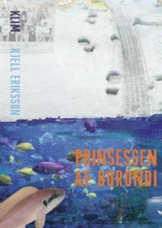 Book cover for Prinsessen af Burundi