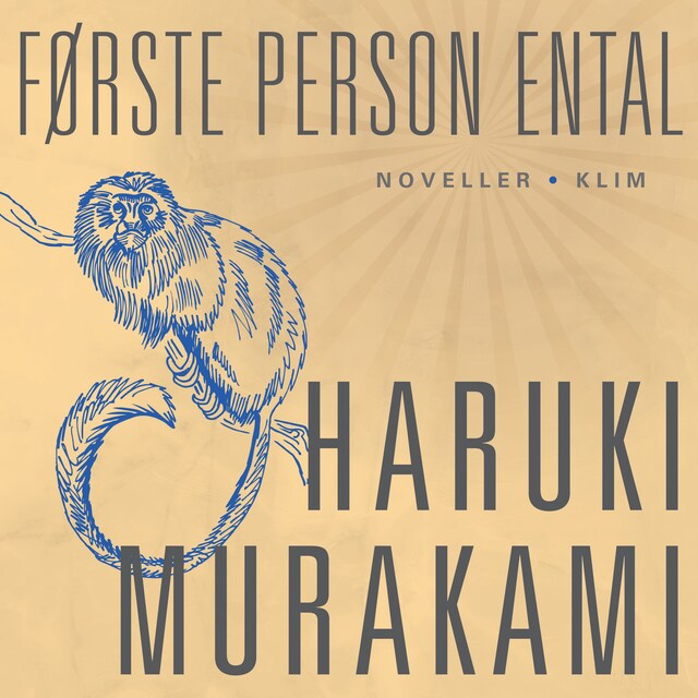 Book cover for Første person ental