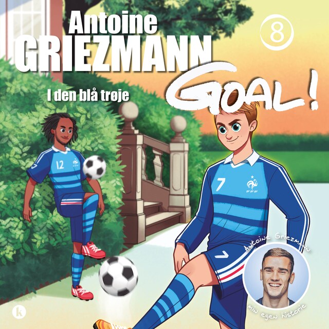 Book cover for Goal 8