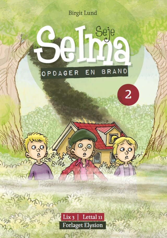 Book cover for Seje Selma opdager en brand