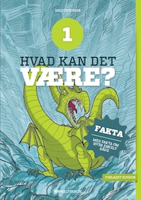Hvad kan det være? 1