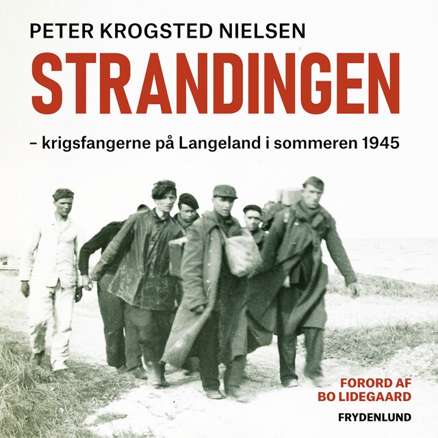 Copertina del libro per Strandingen