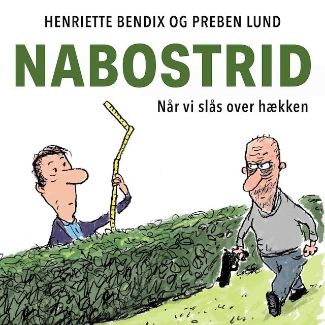 Buchcover für Nabostrid