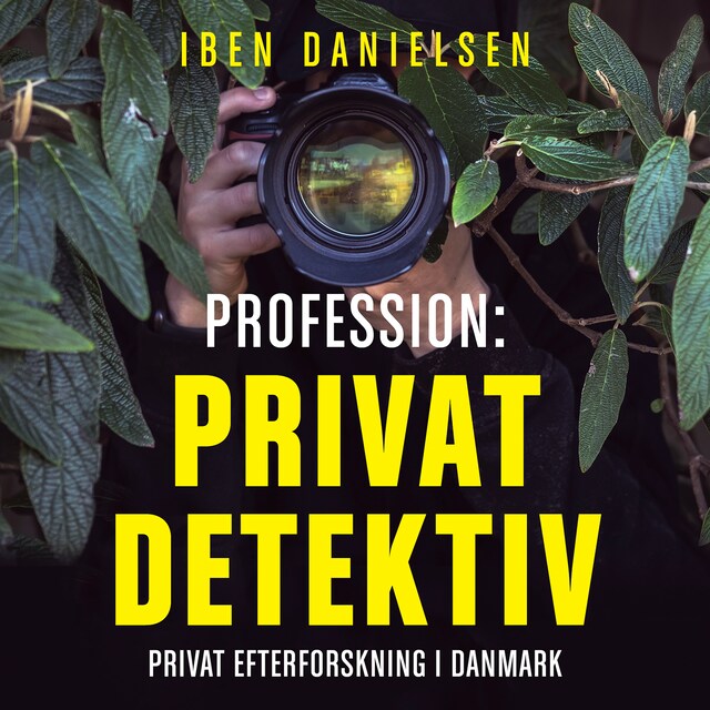 Boekomslag van Profession: privatdetektiv