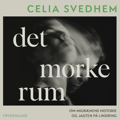 Det mørke rum
