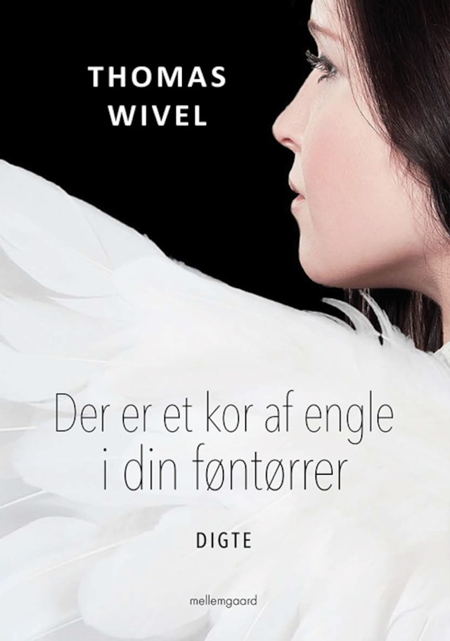 Copertina del libro per Der er et kor af engle i din føntørrer