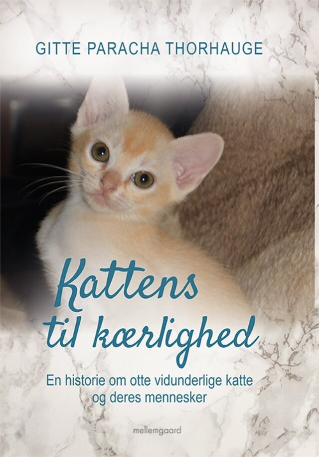 Portada de libro para Kattens til kærlighed