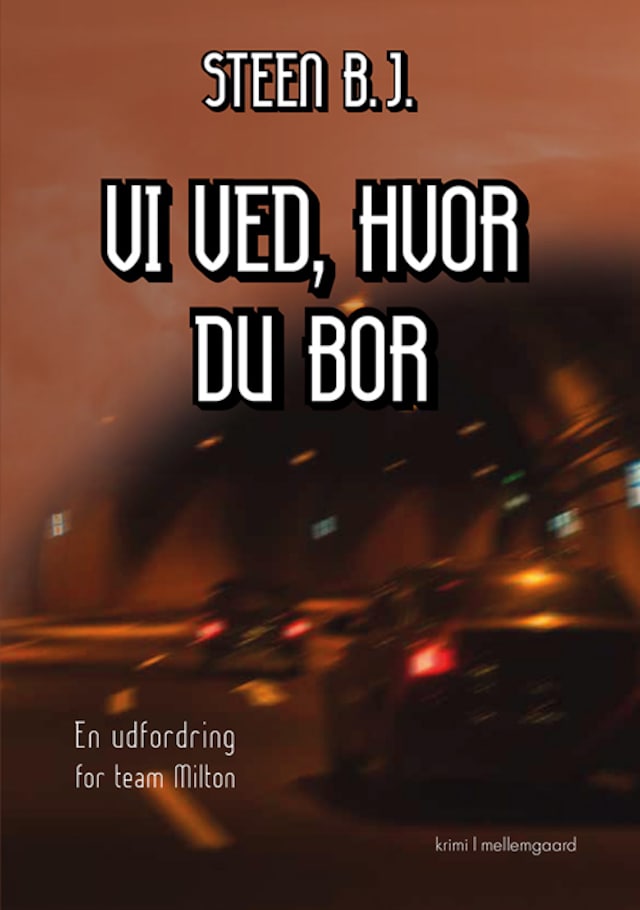 Book cover for VI VED, HVOR DU BOR