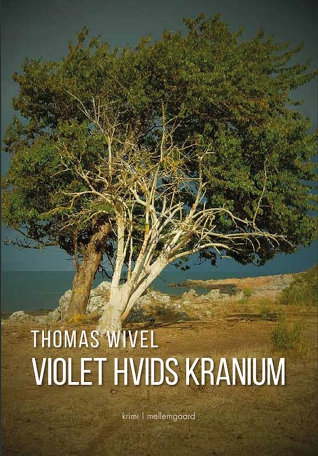 Buchcover für Violet Hvids kranium