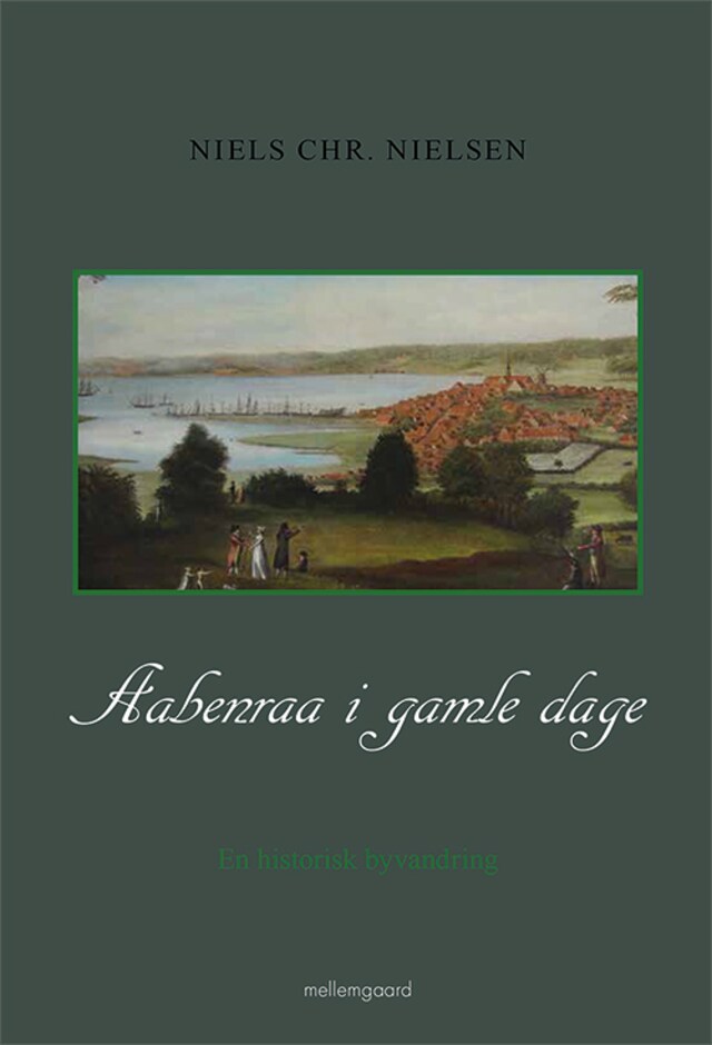 Book cover for Aabenraa i gamle dage
