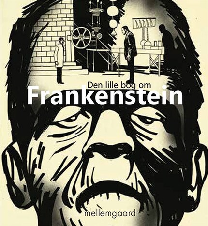 Den lille bog om Frankenstein bookCoverFor
