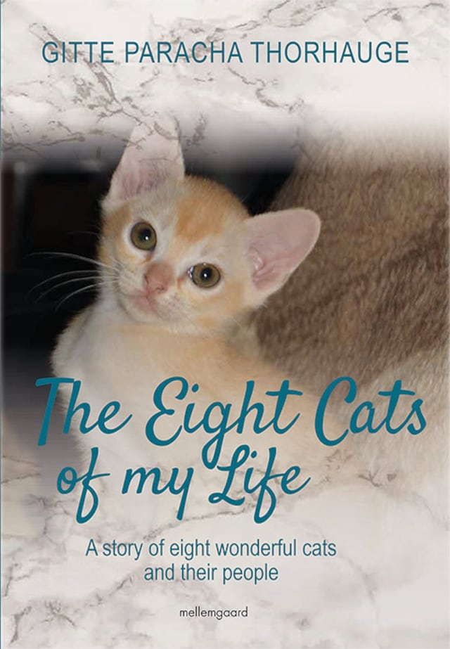 Book cover for The Eight Cats of my Life