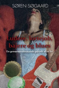 Ludere, lortejob, bajere og blues – En gennemsnitsmands parodi af et liv