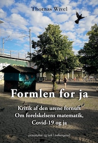 Formlen for ja - Kritik af den urene fornuft - Om forelskelsens matematik, covid-19 og ja