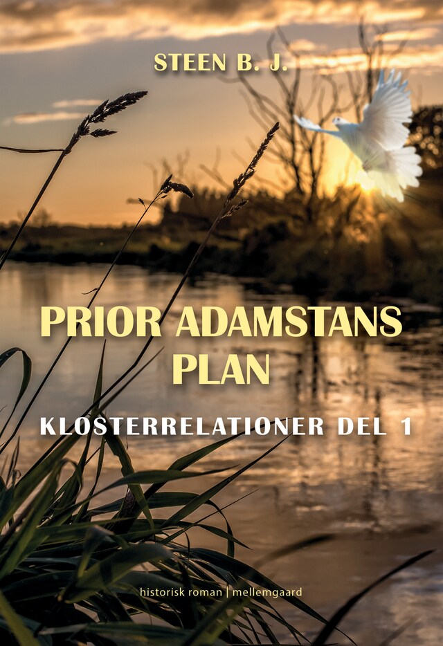 Book cover for Prio Adamstans plan