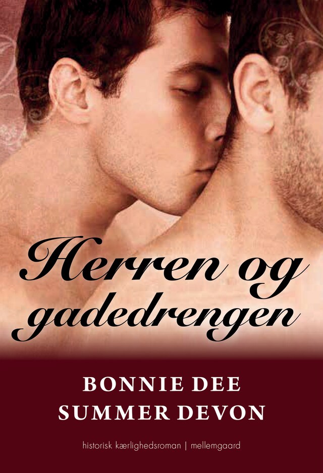 Book cover for Herren og gadedrengen