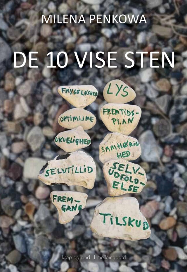 Book cover for De 10 vise sten