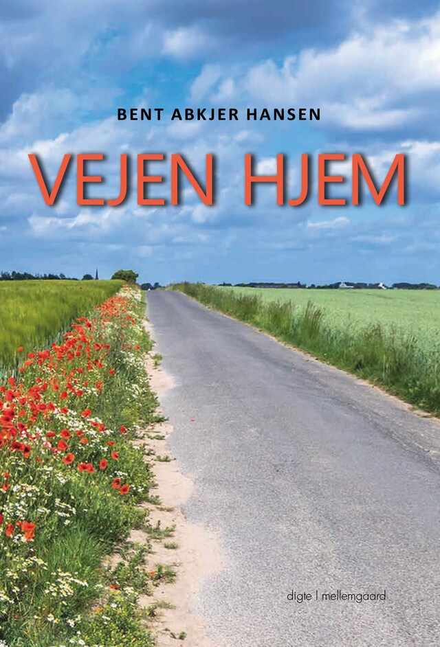 Book cover for Vejen hjem