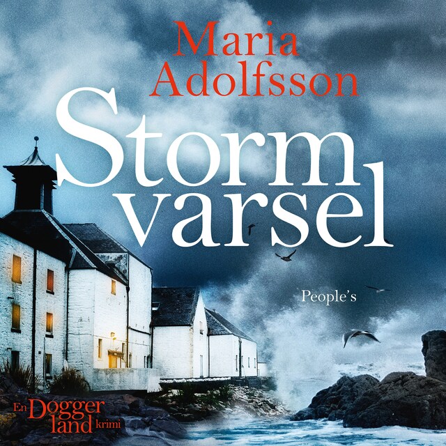 Couverture de livre pour Stormvarsel