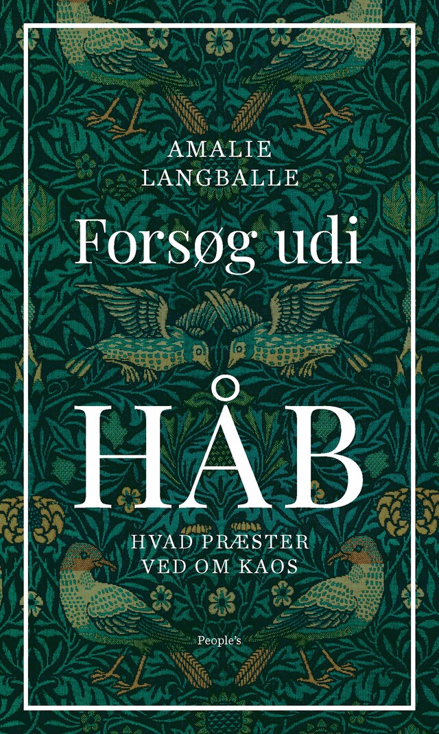 Bogomslag for Forsøg udi håb