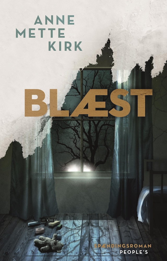 Book cover for Blæst