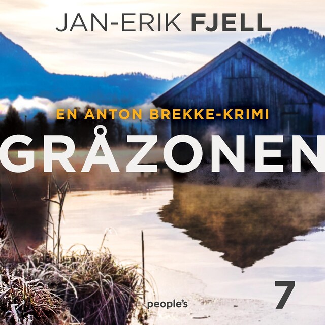 Book cover for Gråzonen