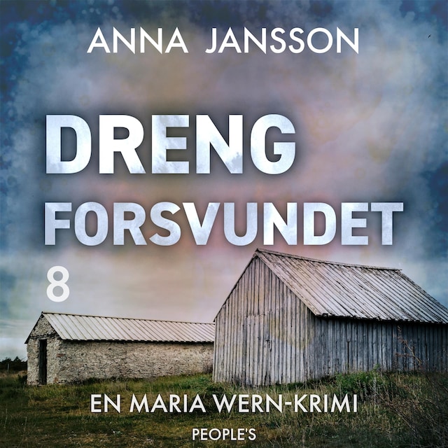 Portada de libro para Dreng forsvundet