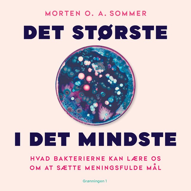 Book cover for Det største i det mindste