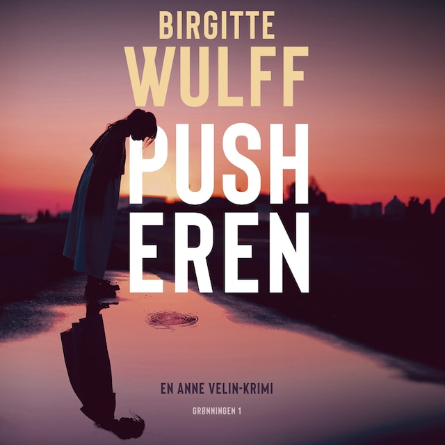 Book cover for Birgitte Wulff