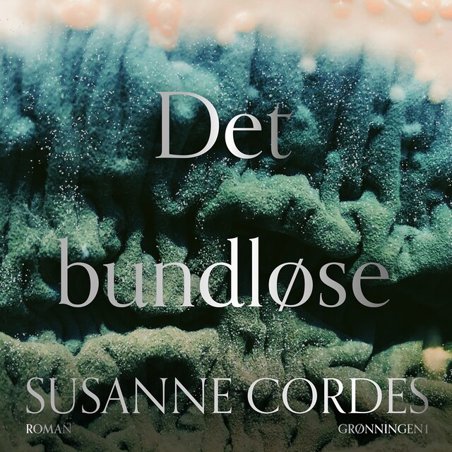 Copertina del libro per Det bundløse