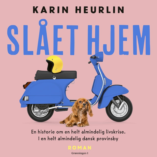 Buchcover für Slået hjem