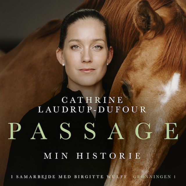 Book cover for Passage