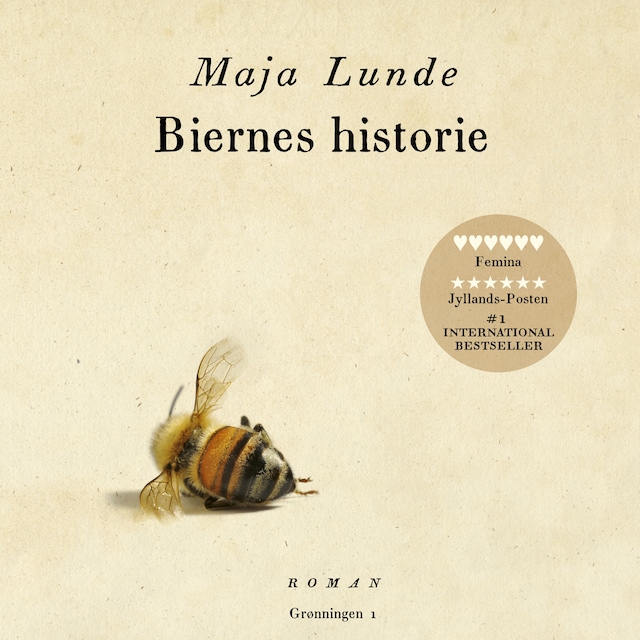 Book cover for Biernes historie