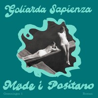 Møde i Positano