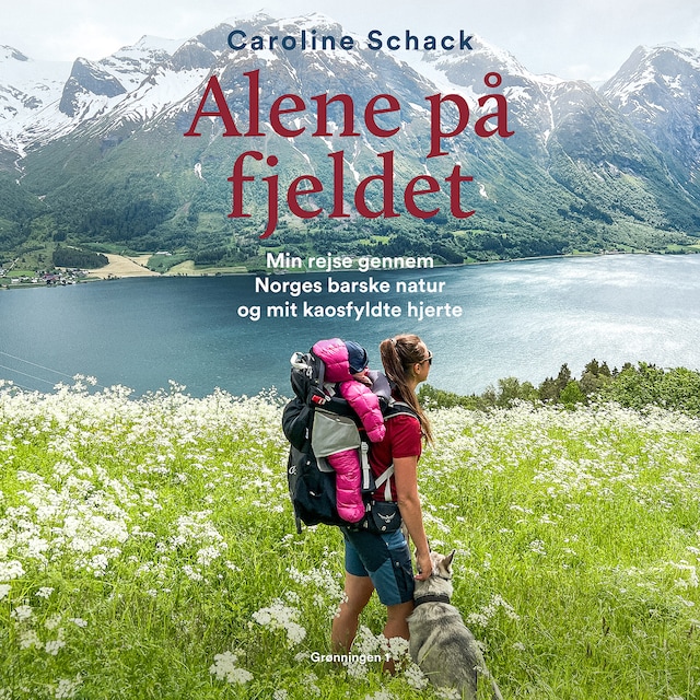 Book cover for Alene på fjeldet