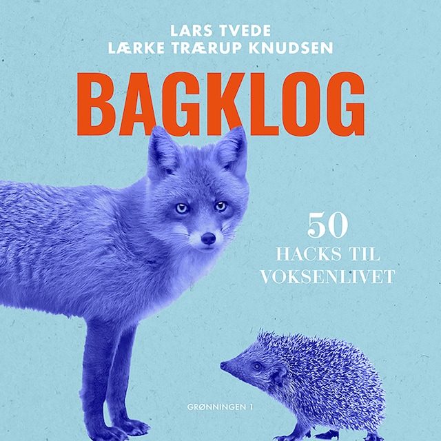 Book cover for Bagklog