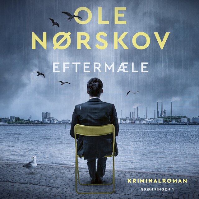 Copertina del libro per Eftermæle