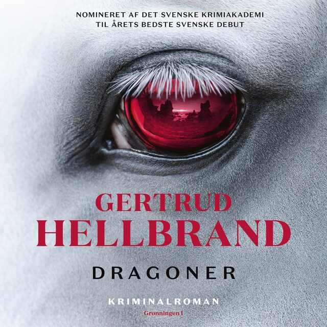 Book cover for Dragoner