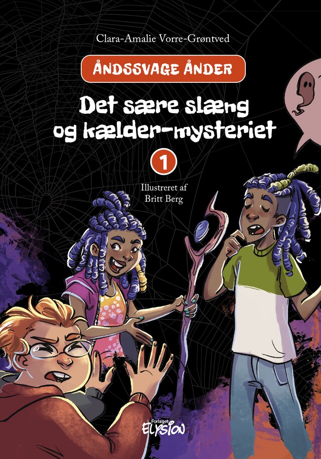 Book cover for Det sære slæng og kælder-mysteriet