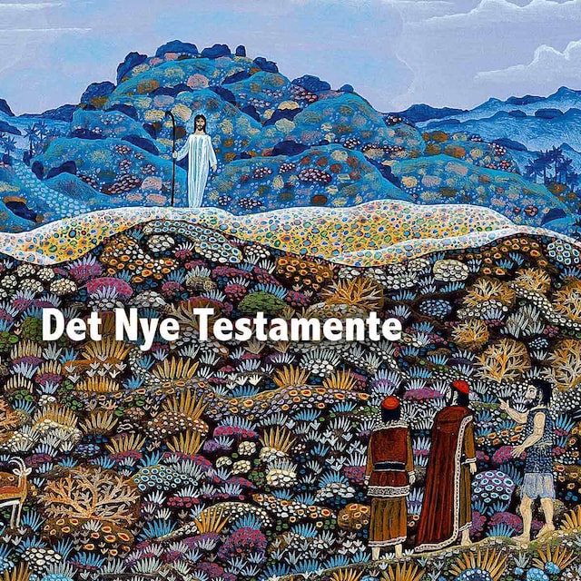 Buchcover für Det nye testamente