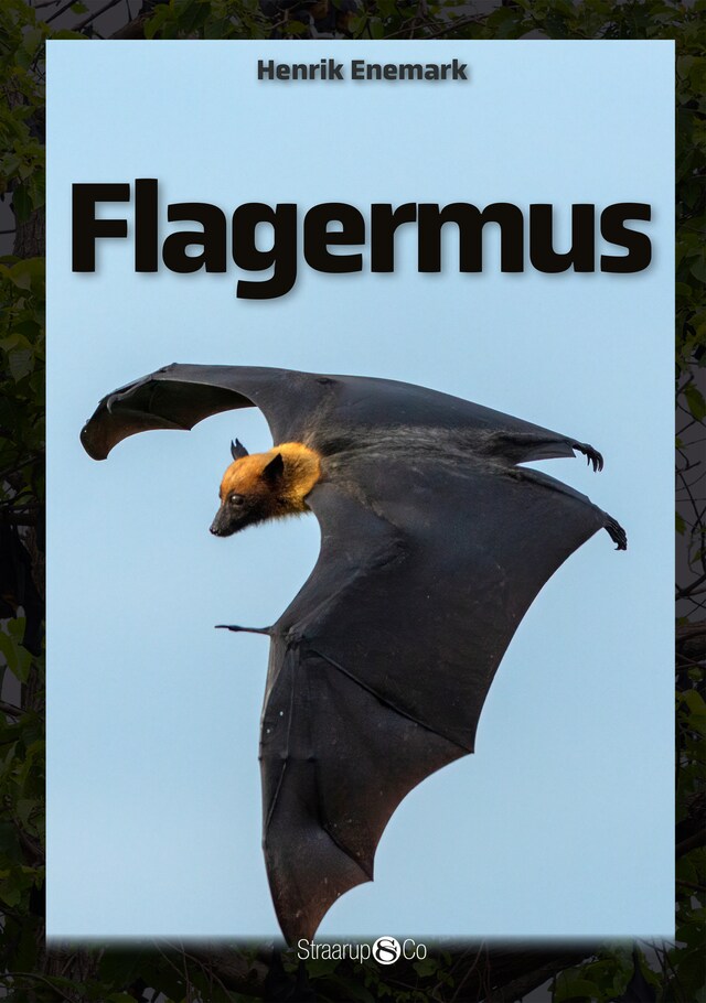 Book cover for Flagermus