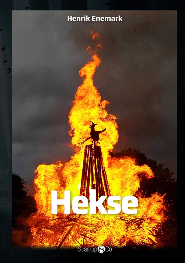 Bogomslag for Hekse