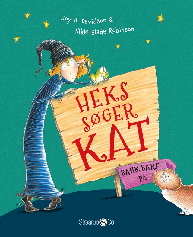 Book cover for Heks søger kat