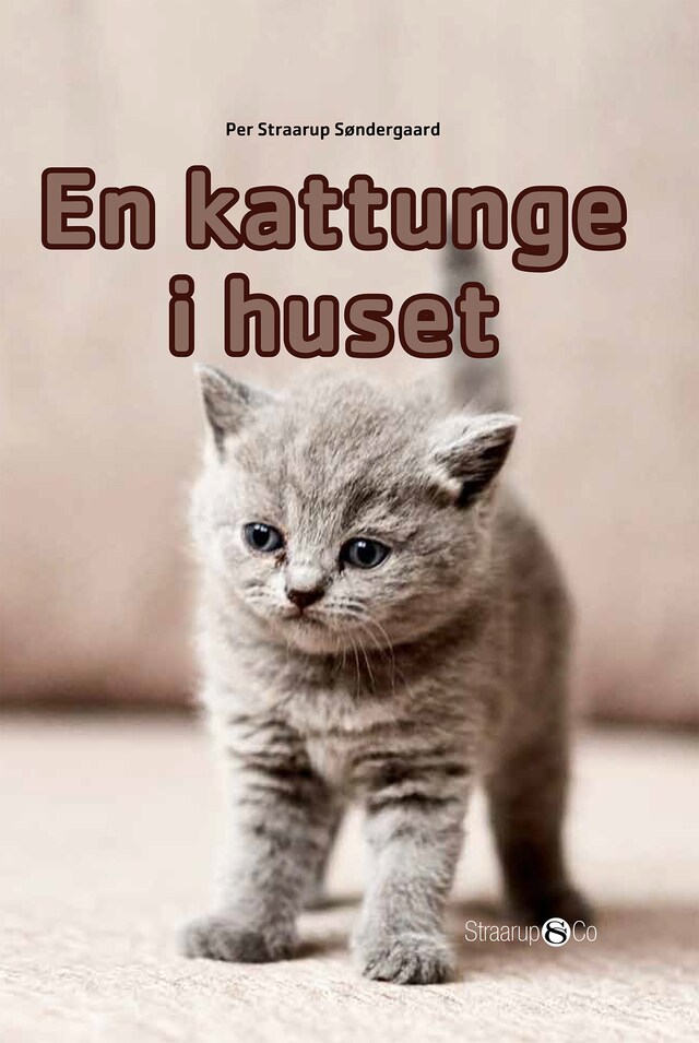 Bokomslag for En kattunge i huset (norsk)