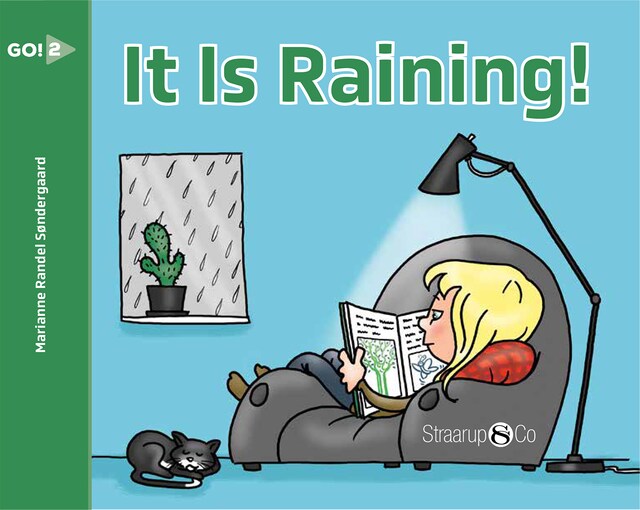 Book cover for It Is Raining