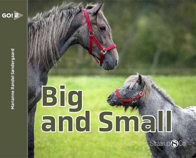 Portada de libro para Big and Small