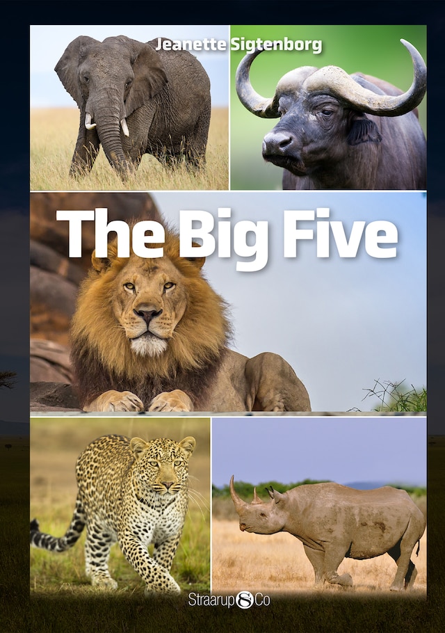 Book cover for The Big Five