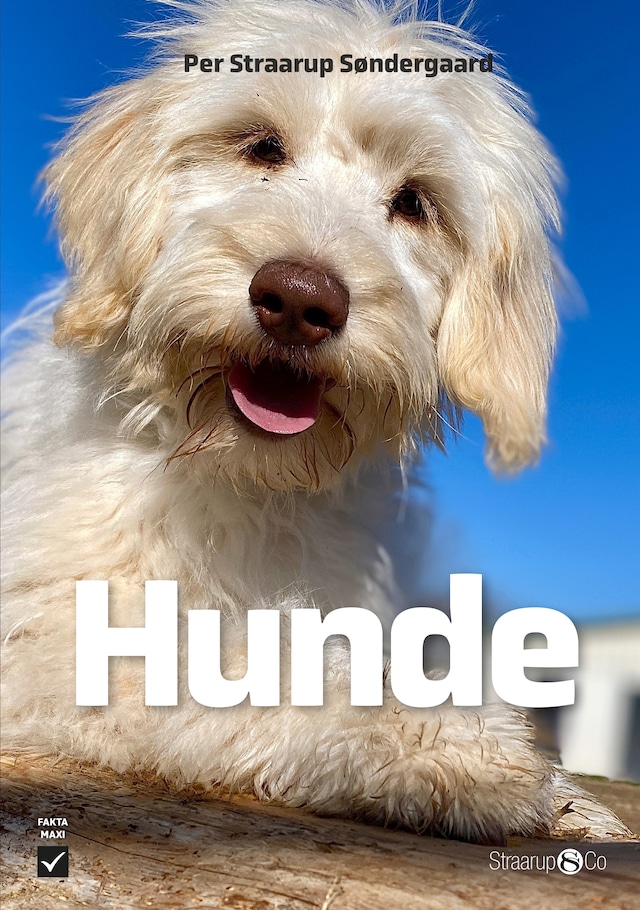 Hunde Kirjankansi teokselle Hunde