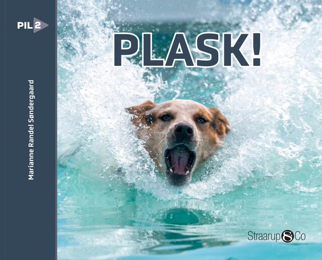 Book cover for Plask!